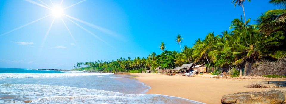 tropical beach in Sri Lanka