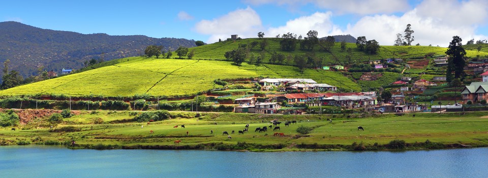 Nuwara Eliya